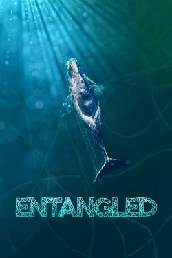 Watch Free Entangled: The Race to Save Right Whales from Extinction Movies Full HD Online - Movies4K