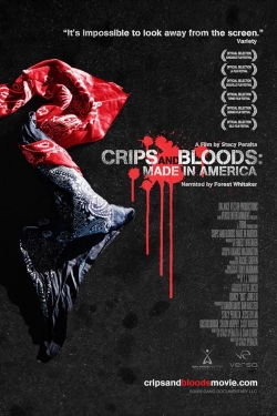 Watch Free Crips and Bloods: Made in America Movies Full HD Online - Movies4K